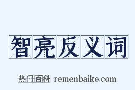 智亮反义词是什么意思的图片